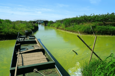 太湖落日，美中不足的遺憾